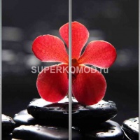 Фотопечать на шкаф купе спа 501