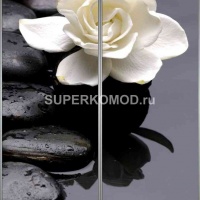 Фотопечать на шкаф купе спа 504