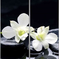 Фотопечать на шкаф купе спа 505