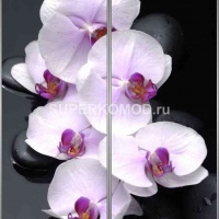 Фотопечать на шкаф купе спа 507