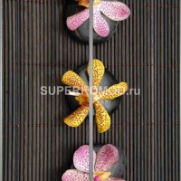 Фотопечать на шкаф купе спа 508