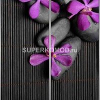 Фотопечать на шкаф купе спа 510