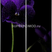 Фотопечать на шкаф купе спа 513