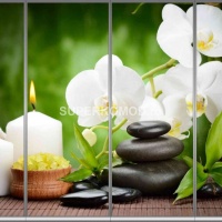 Фотопечать на шкаф купе спа 515