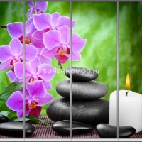 Фотопечать на шкаф купе спа 516