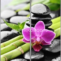 Фотопечать на шкаф купе спа 519