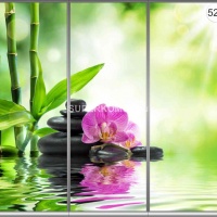 Фотопечать на шкаф купе спа 520