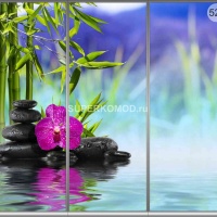 Фотопечать на шкаф купе спа 521