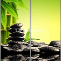 Фотопечать на шкаф купе спа 529