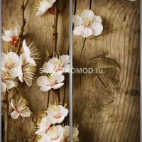 Фотопечать на шкаф купе абстракции 552