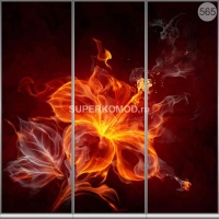 Фотопечать на шкаф купе абстракции 565