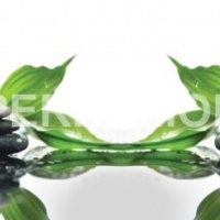 Стеклянный фартук светлый