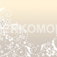 Фартук для кухни светлый