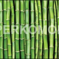 Фартук для кухни зеленый бамбук