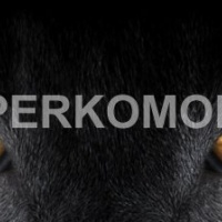 Фартук для кухни Кошачьи глаза