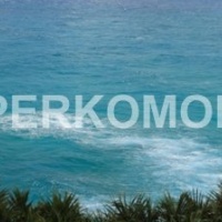 Кухонный фартук берег океана