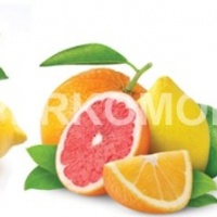 Фартук для кухни разные фрукты