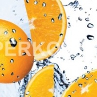 Печать фартук апельсины