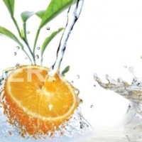 Фартук стеклянный фрукты цитрусы