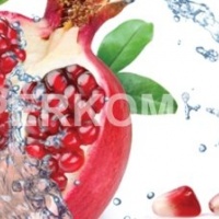 Фартук для кухни гранат