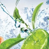 Фартук для кухни лайм и грейпфрут