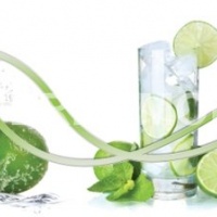 Фартук для кухни фрукты лайм