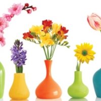 Фартук для кухни цветы в цветных фазах