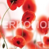 Фартук для кухни маки рисованые