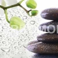 Кухонный фартук спа орхидеи