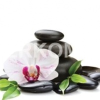 Фотопечать на фартук орхидеи камни спа