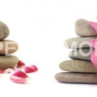 Фартук для кухни цветы камни spa