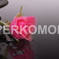 Фартук для кухни spa розы камни