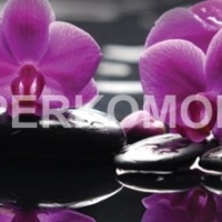 Фартук для кухни сиреневые орхидеи на камнях