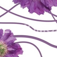 Стеклянный фартук фиолетовые цветы