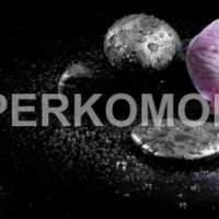 Фартук для кухни спа камни орхидея