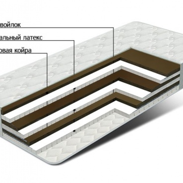 Латекс ПЛЮС