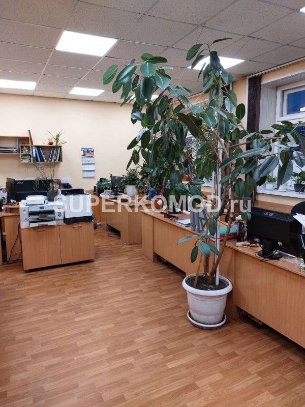 Офисные столы и тумбы эконом цвет дерево