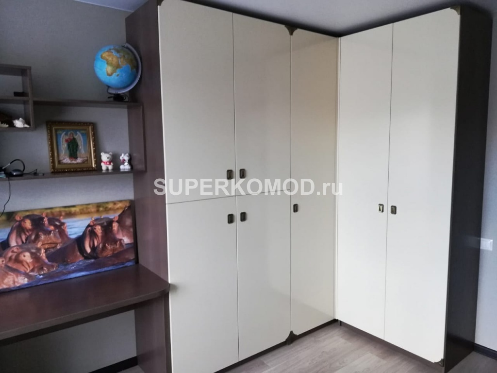Мебель для подростка в темном цвете на заказ